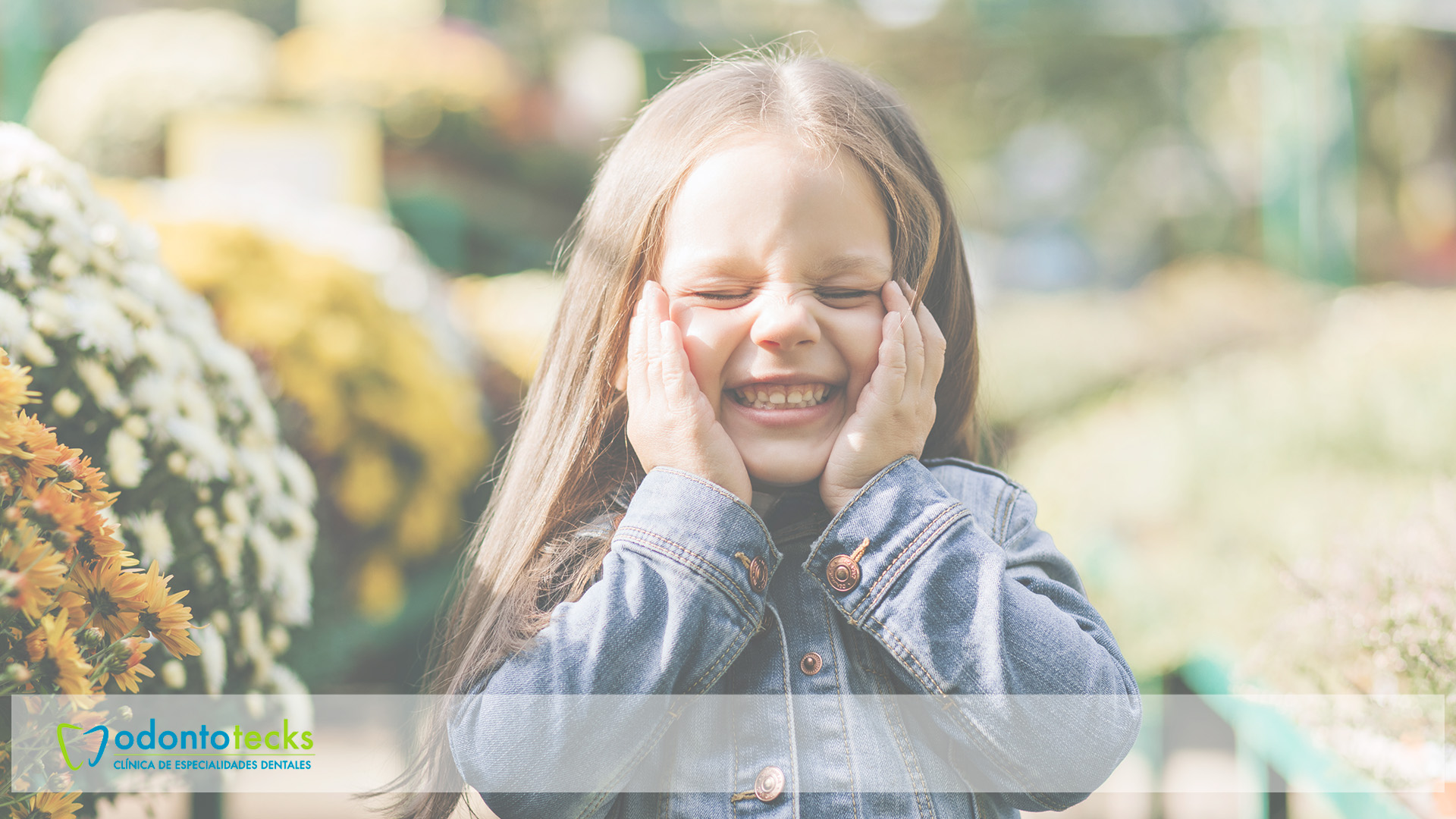 El Crecimiento De Los Dientes En Niños: ¿Cuánto Tiempo Se Tarda?