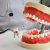 Dentist,Holds,Tooth,And,Jaw,In,Tweezers.,Ceramic,Veneers,For